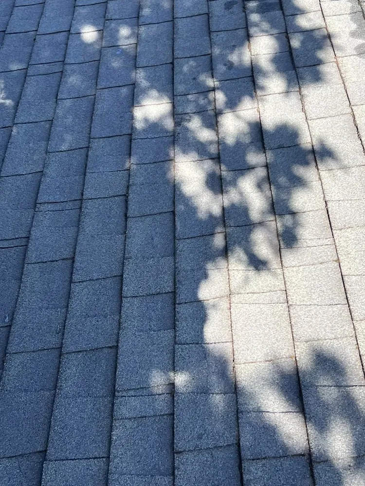 Trusted landscape design in Millbrae, CA - Full Seasons Services