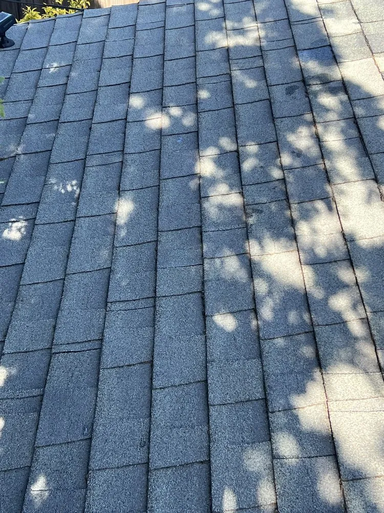 Top-rated lawn care service in Millbrae, CA by Full Seasons Services