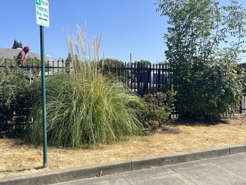 Top-rated yard maintenance for year-round maintenance across Millbrae, CA - Full Seasons Services