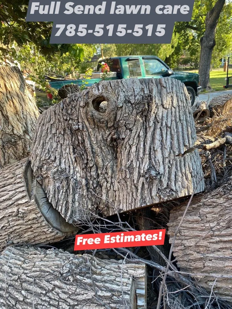 Professional outdoor landscaping in New Cambria, KS by Full send lawn care