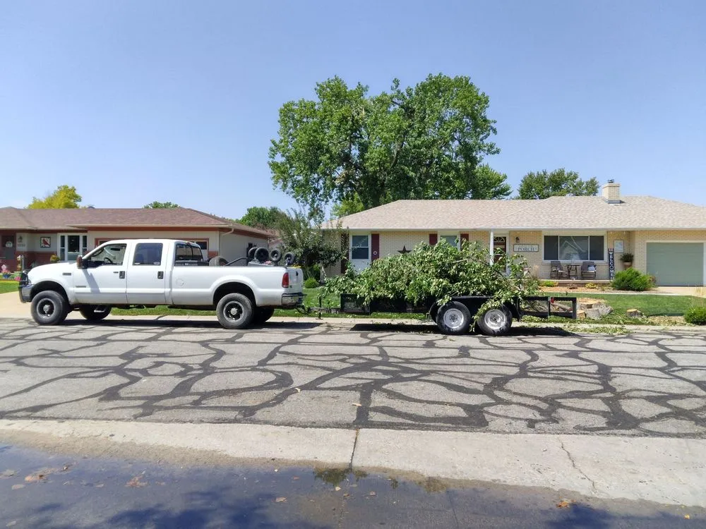 Reliable landscaping services in New Cambria, KS by Full send lawn care