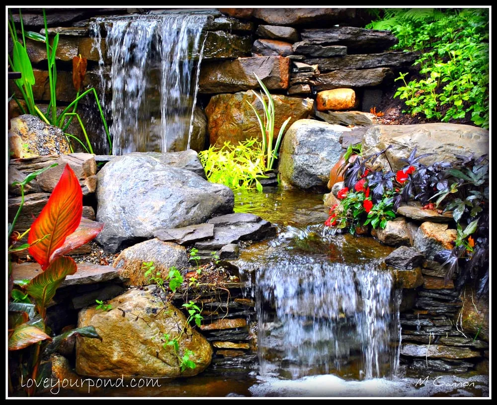 Reliable yard cleanup service for residential properties in Stewartsville, NJ by Full Service Aquatics