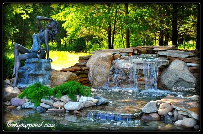 Expert yard cleanup service for residential properties across Stewartsville, NJ - Full Service Aquatics