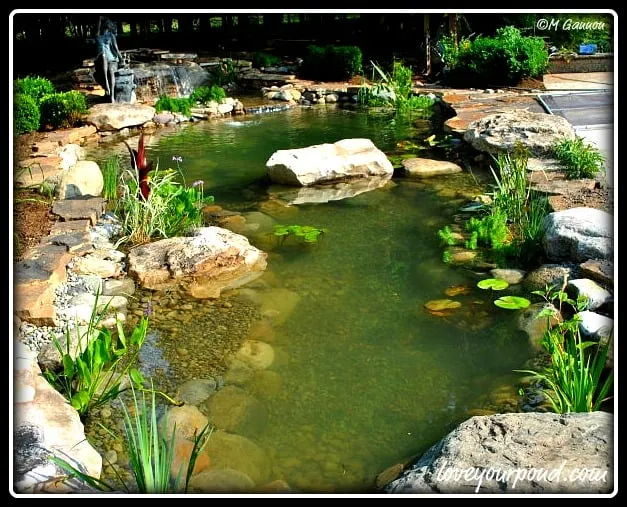 Top-rated yard cleanup service in Stewartsville, NJ by Full Service Aquatics