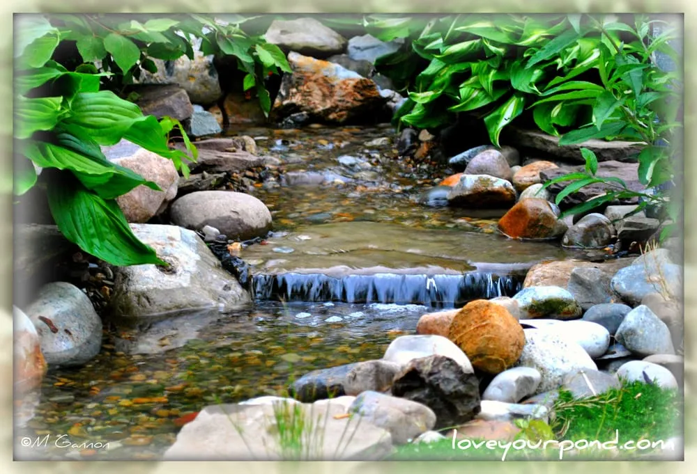 Trusted yard maintenance experts serving Stewartsville, NJ - Full Service Aquatics