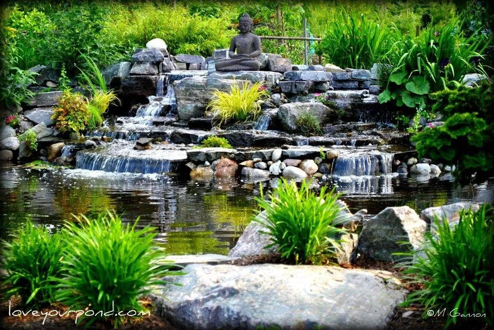 Local garden landscaping experts serving Stewartsville, NJ - Full Service Aquatics