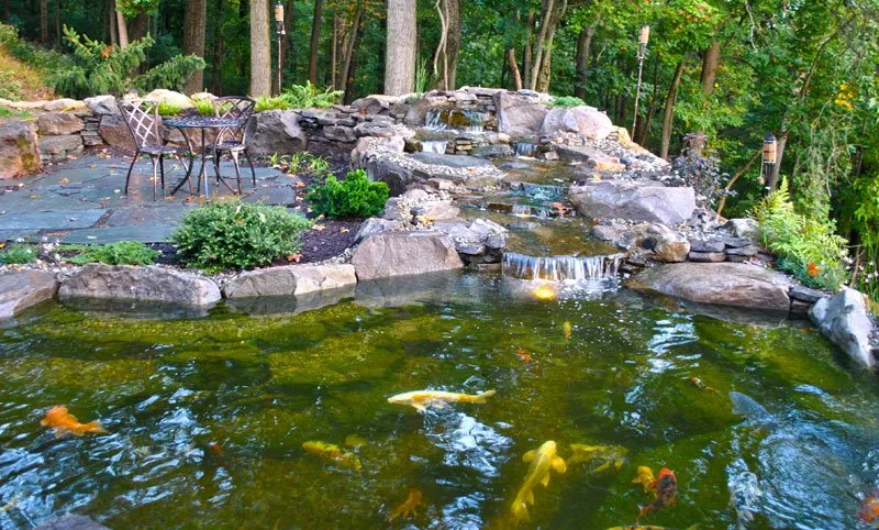 Local landscaping services in Stewartsville, NJ - Full Service Aquatics