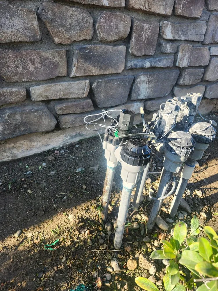 Custom garden landscaping with custom design in San Bernardino, CA by Full Service Gardening Vili Gomez