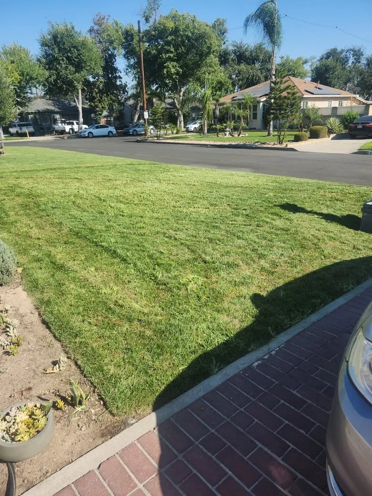 Reliable landscaping services in San Bernardino, CA - Full Service Gardening Vili Gomez