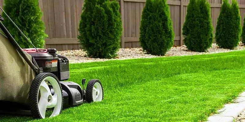 Professional landscape design for beautiful yards in San Bernardino, CA by Full Service Gardening Vili Gomez