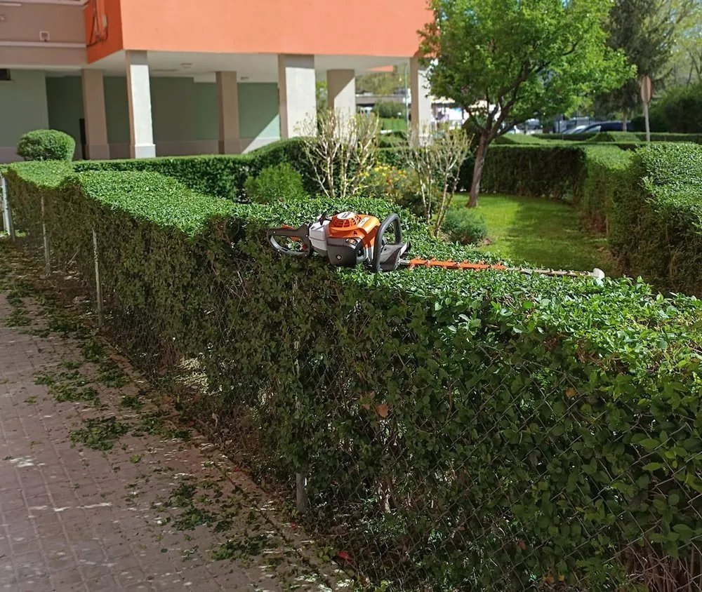 Expert lawn mowing service for year-round maintenance in San Bernardino, CA by Full Service Gardening Vili Gomez