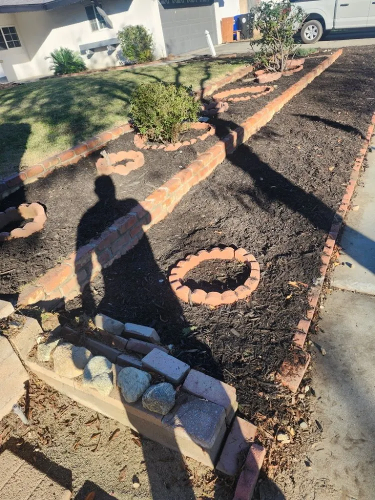 Affordable yard cleanup service for year-round maintenance in San Bernardino, CA by Full Service Gardening Vili Gomez