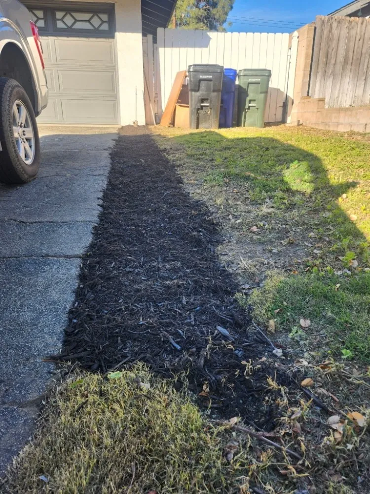 Expert landscaping services in San Bernardino, CA by Full Service Gardening Vili Gomez