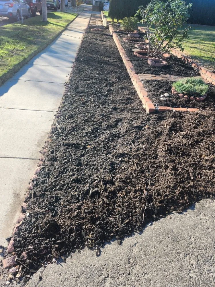 Trusted landscape design for homes in San Bernardino, CA by Full Service Gardening Vili Gomez