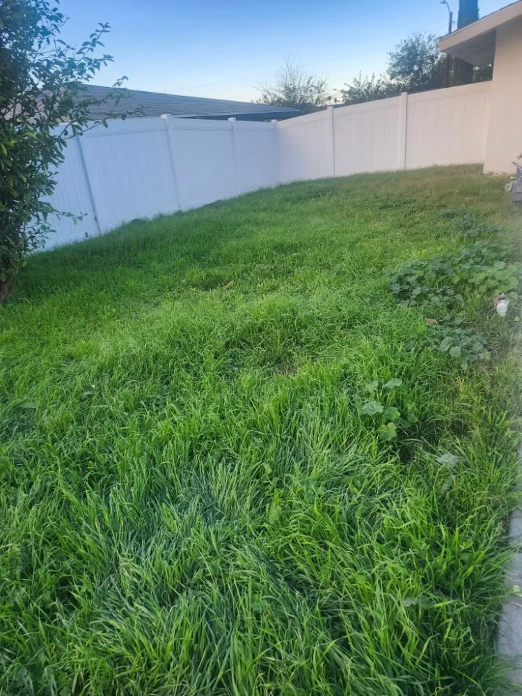 Custom yard maintenance in San Bernardino, CA - Full Service Gardening Vili Gomez