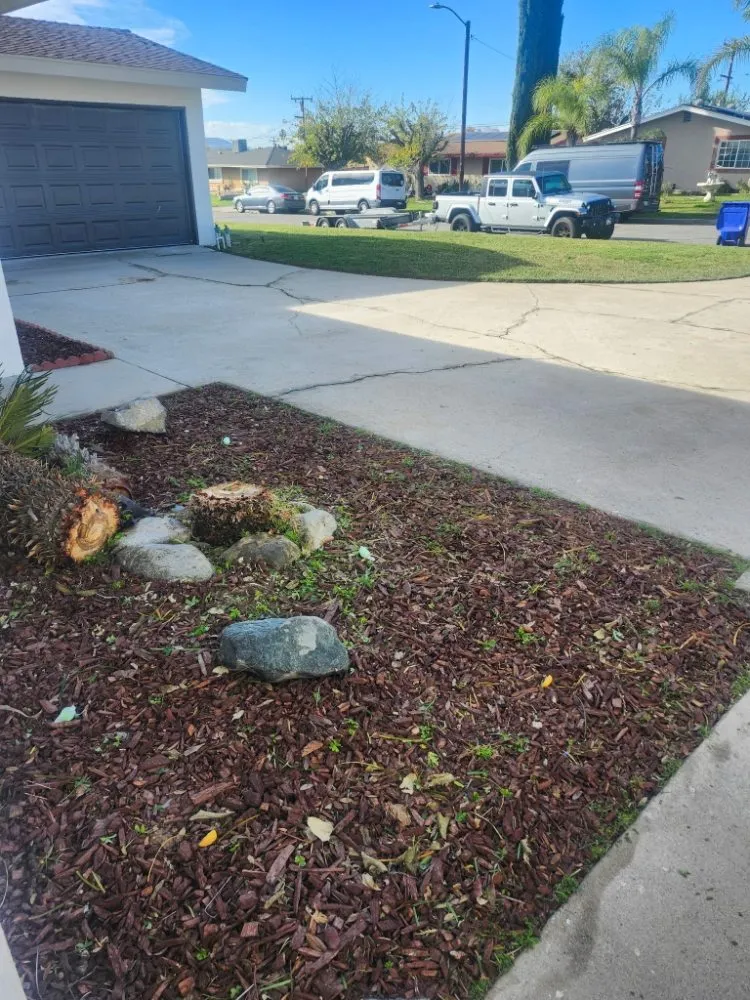 Trusted landscape installation in San Bernardino, CA - Full Service Gardening Vili Gomez