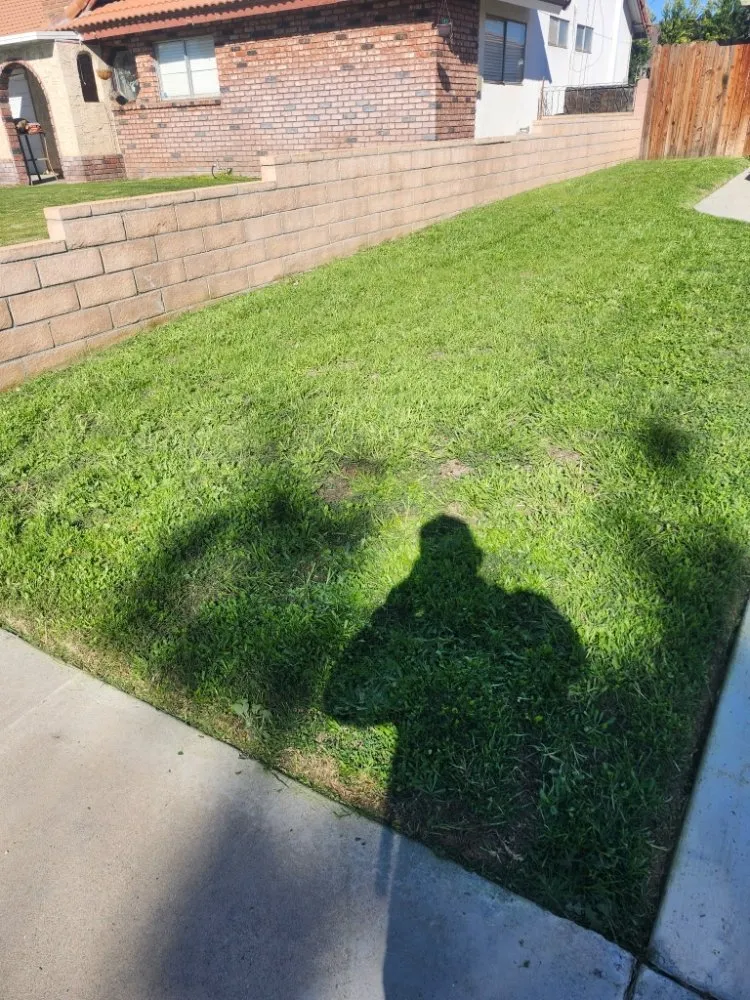 Professional landscape design in San Bernardino, CA by Full Service Gardening Vili Gomez