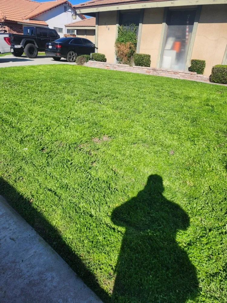 Top-rated garden landscaping in San Bernardino, CA by Full Service Gardening Vili Gomez