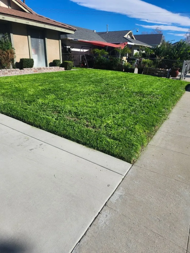 Professional landscape installation in San Bernardino, CA by Full Service Gardening Vili Gomez