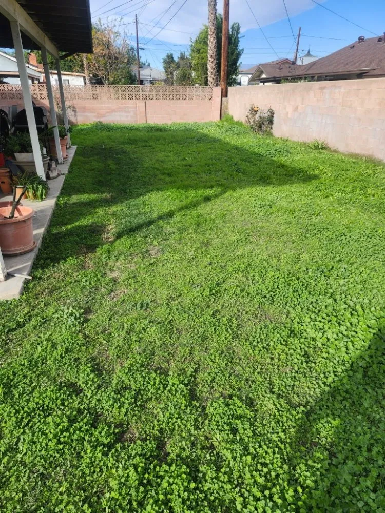 Expert landscape design for residential properties in San Bernardino, CA by Full Service Gardening Vili Gomez