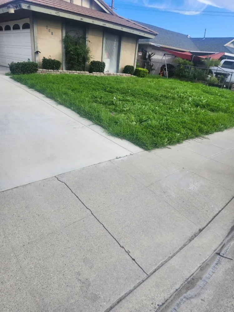 Reliable residential landscaping with custom design in San Bernardino, CA by Full Service Gardening Vili Gomez