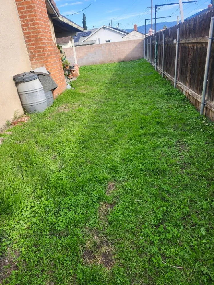 Local landscape design experts serving San Bernardino, CA - Full Service Gardening Vili Gomez