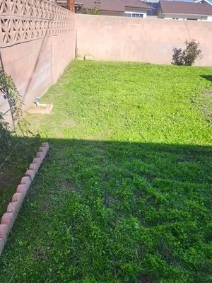 Full Service Gardening Vili Gomez