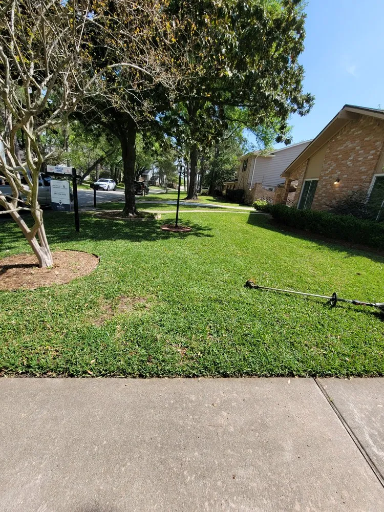 Professional outdoor landscaping in Houston, TX - Full Service Landscaping
