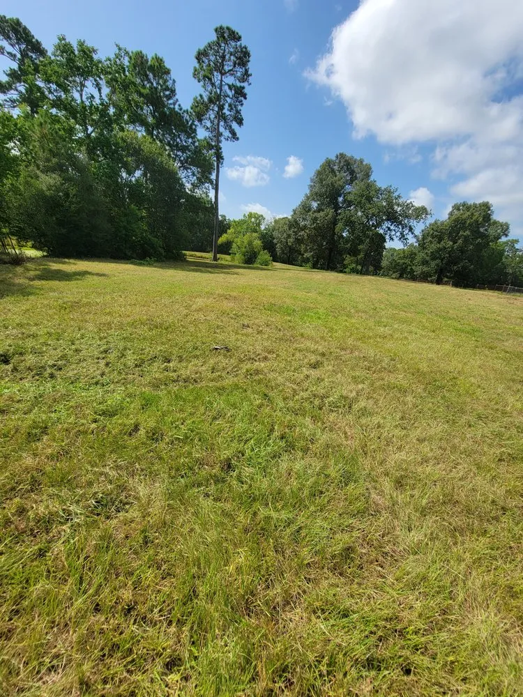 Custom landscape design experts serving Houston, TX - Full Service Landscaping