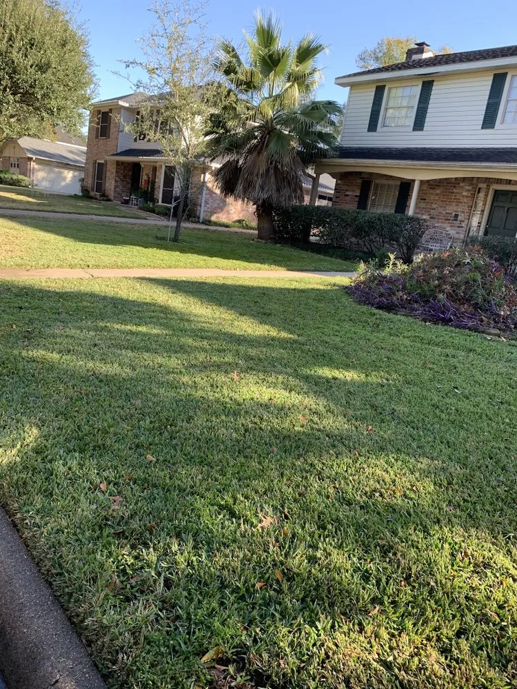 Affordable outdoor landscaping for residential properties in Houston, TX by Full Service Landscaping