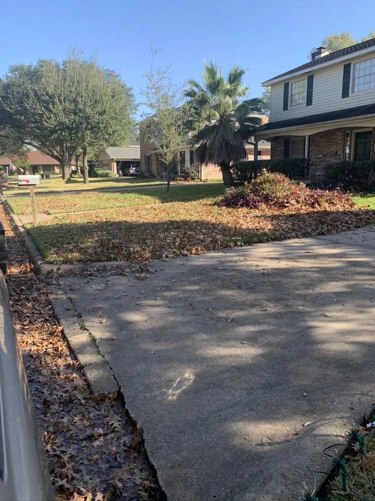 Expert landscaping services in Houston, TX - Full Service Landscaping