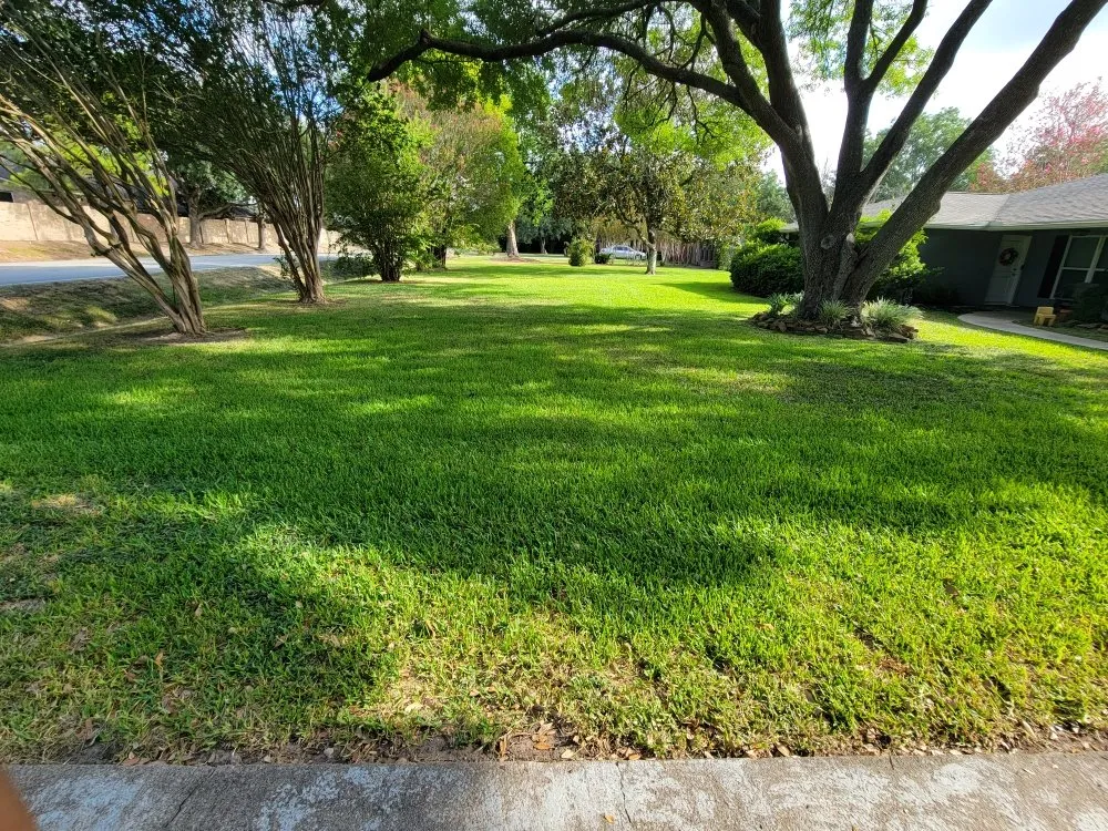 Professional residential landscaping experts serving Houston, TX - Full Service Landscaping
