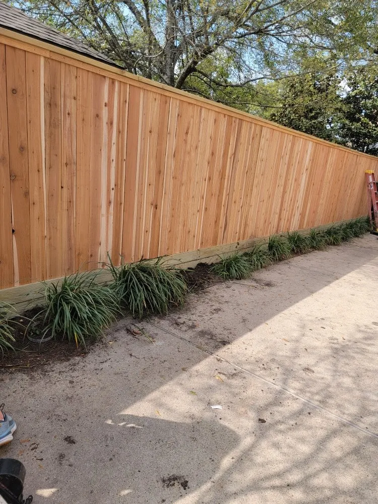 Expert yard maintenance in Houston, TX - Full Service Landscaping