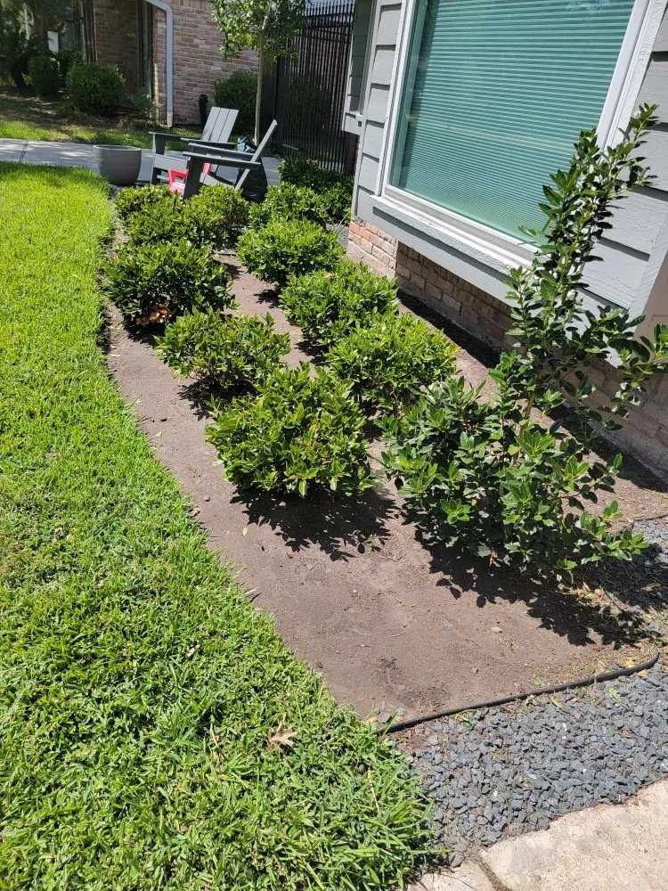 Top-rated yard cleanup service in Houston, TX - Full Service Landscaping