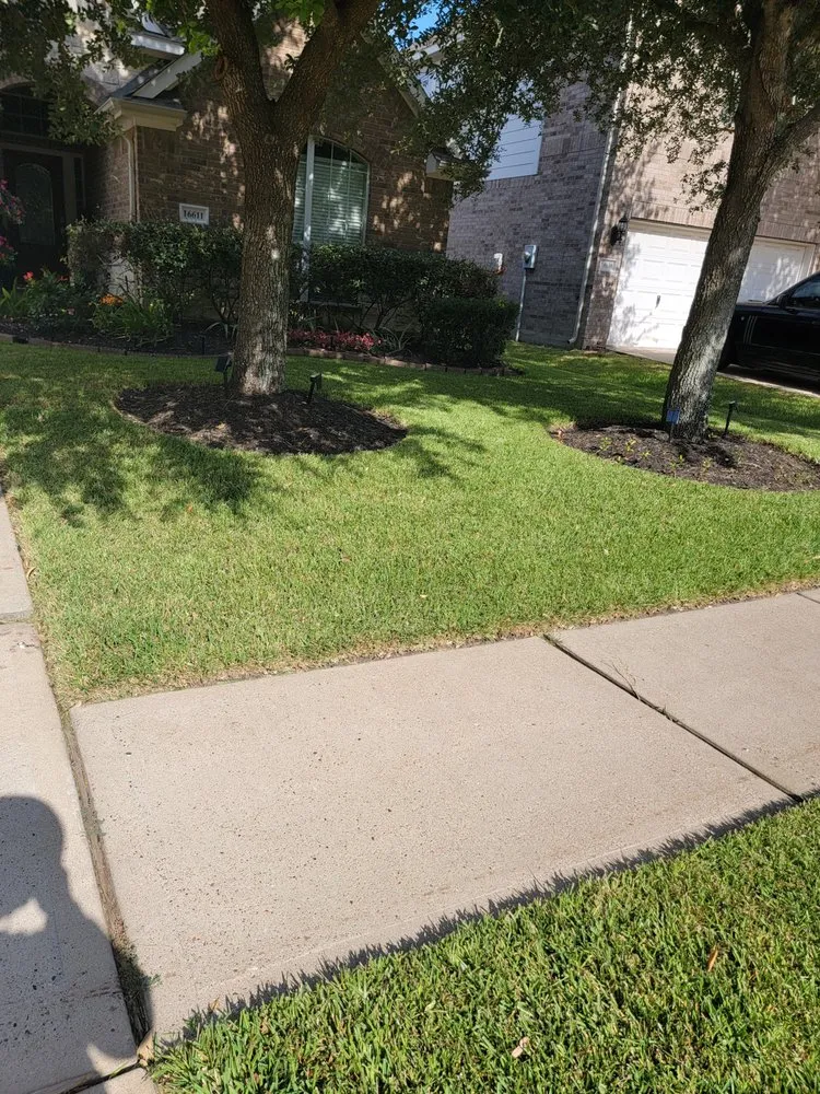 Professional yard cleanup service in Houston, TX by Full Service Landscaping