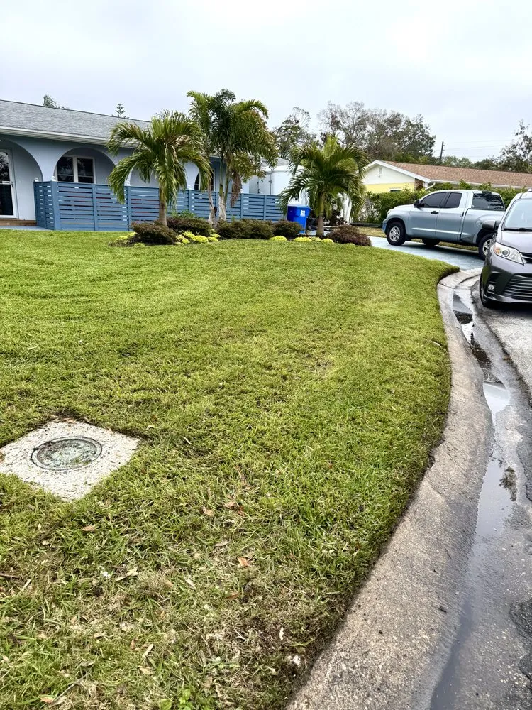 Reliable yard cleanup service for year-round maintenance in St. Petersburg, FL by Full Service Lawn & Landscaping