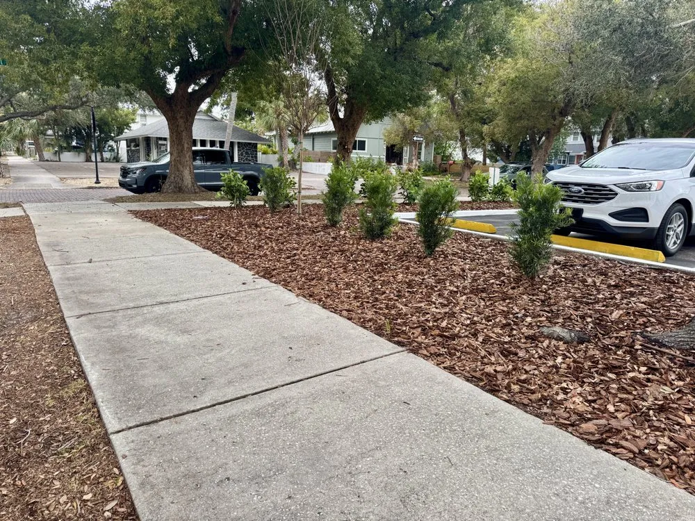 Professional yard cleanup service in St. Petersburg, FL by Full Service Lawn & Landscaping