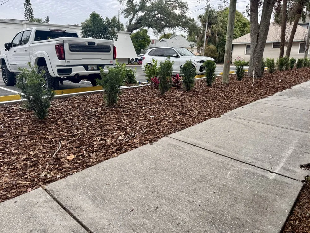 Local lawn mowing service in St. Petersburg, FL by Full Service Lawn & Landscaping