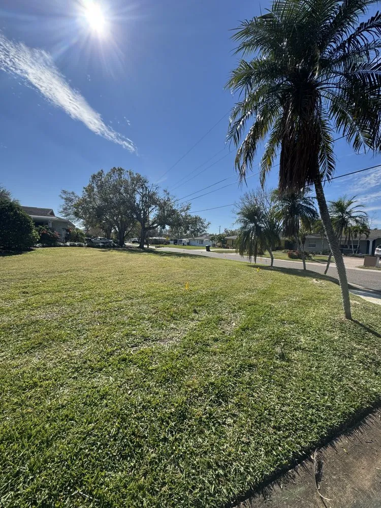 Affordable landscape design for beautiful yards in St. Petersburg, FL by Full Service Lawn & Landscaping