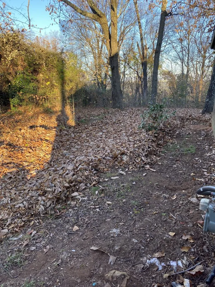 Local residential landscaping for year-round maintenance across Hoover, AL - Full Service Lawn Care By Ed