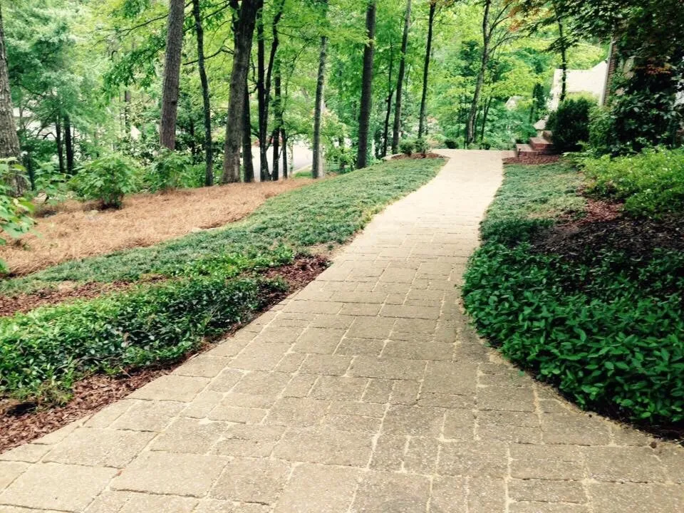 Affordable yard maintenance experts serving Hoover, AL - Full Service Lawn Care By Ed