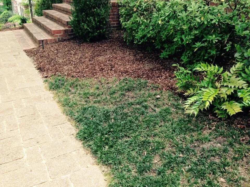 Affordable lawn mowing service in Hoover, AL by Full Service Lawn Care By Ed