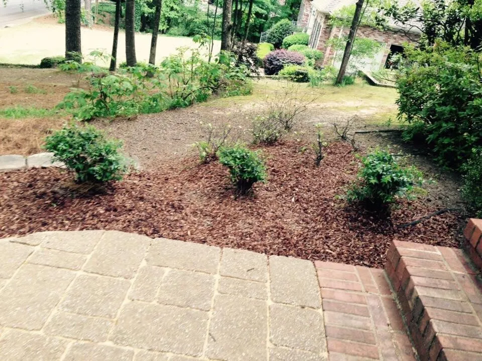 Affordable yard maintenance experts serving Hoover, AL - Full Service Lawn Care By Ed