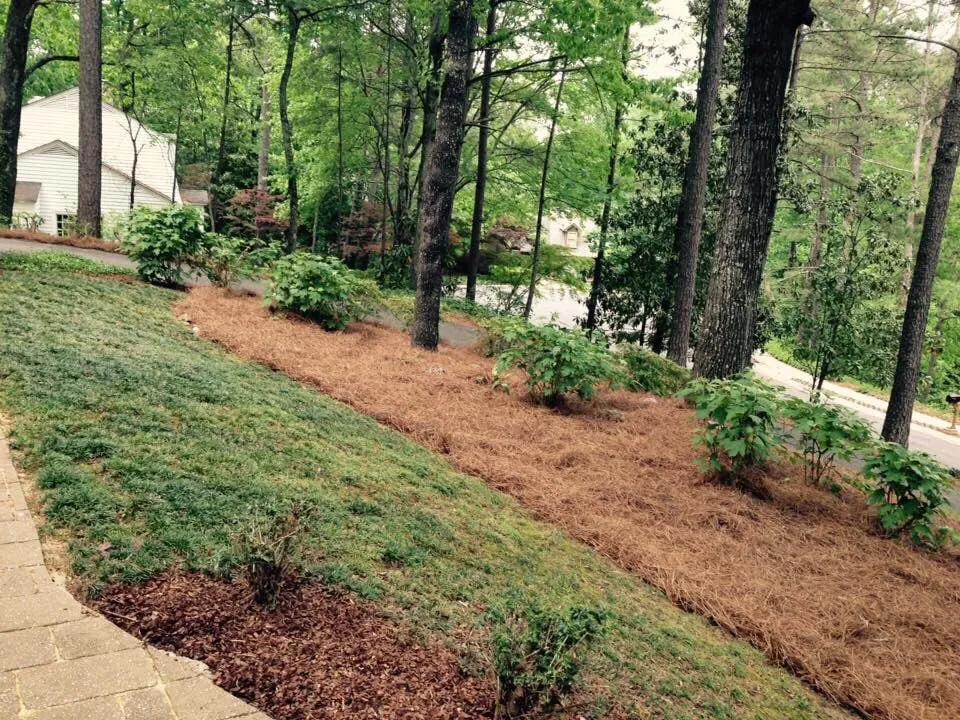 Top-rated lawn mowing service for homes across Hoover, AL - Full Service Lawn Care By Ed