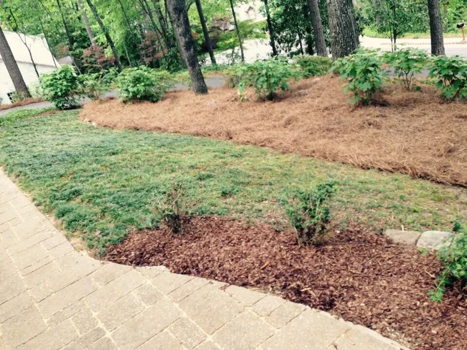 Reliable landscape design experts serving Hoover, AL - Full Service Lawn Care By Ed