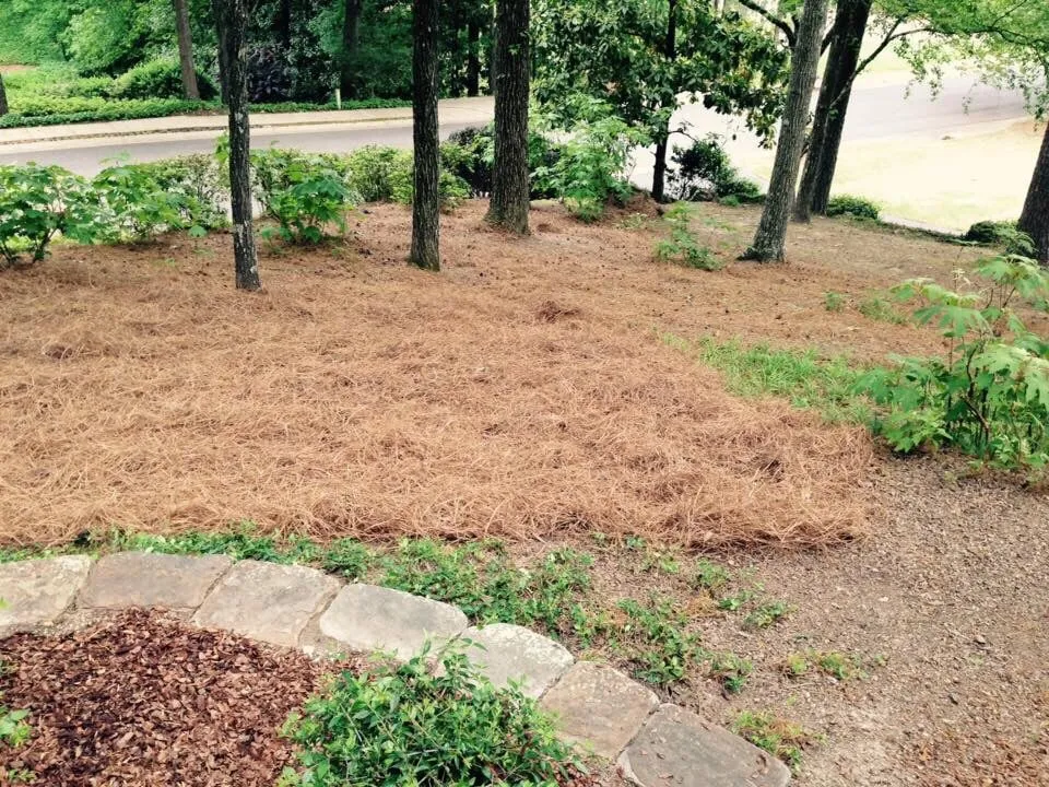 Top-rated landscaping services in Hoover, AL - Full Service Lawn Care By Ed