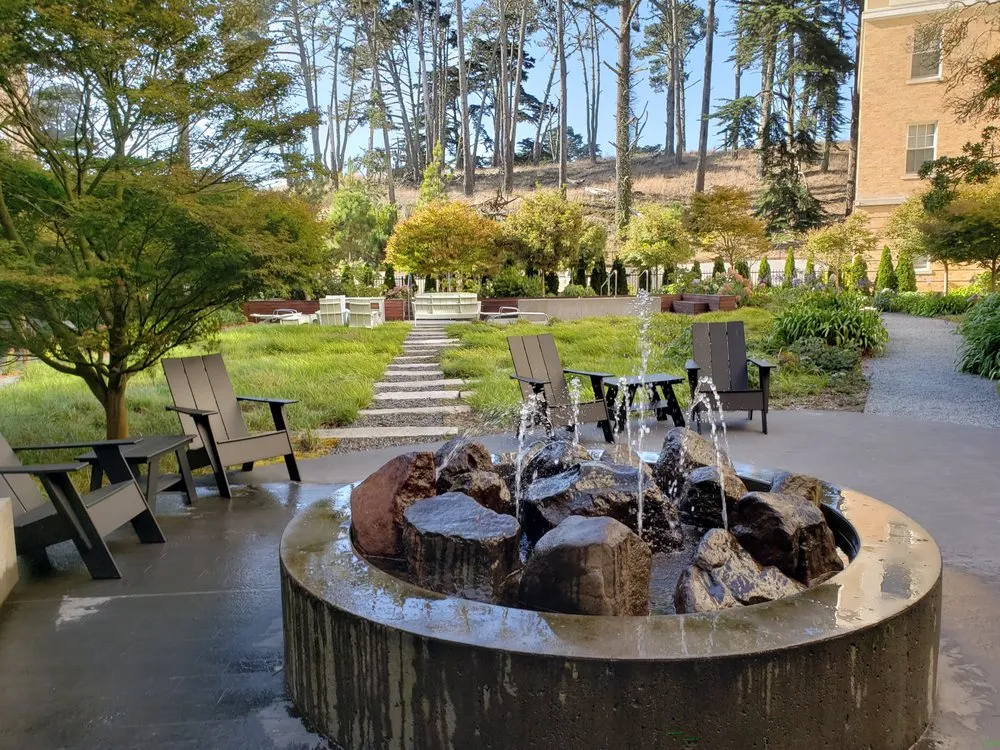 Reliable yard cleanup service in brentwood, CA by Full Spectrum Outdoor