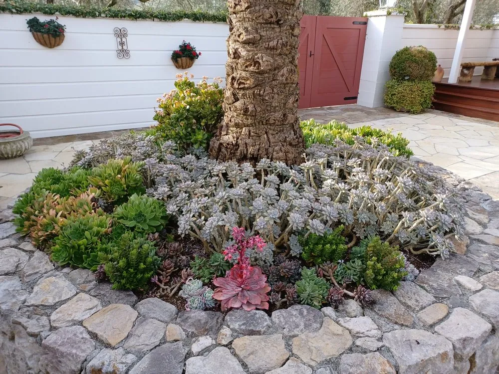 Professional landscape installation for homes across brentwood, CA - Full Spectrum Outdoor