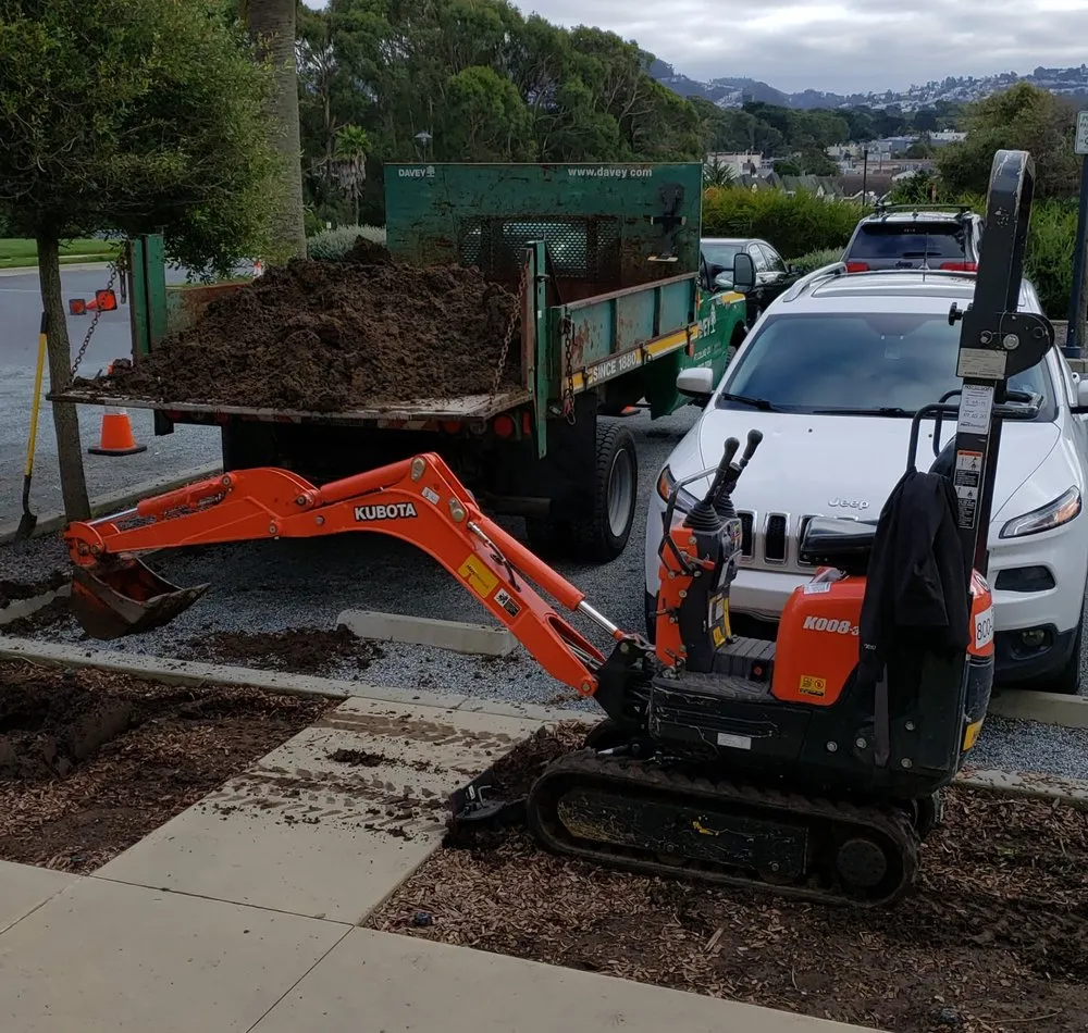 Reliable yard cleanup service for year-round maintenance across brentwood, CA - Full Spectrum Outdoor