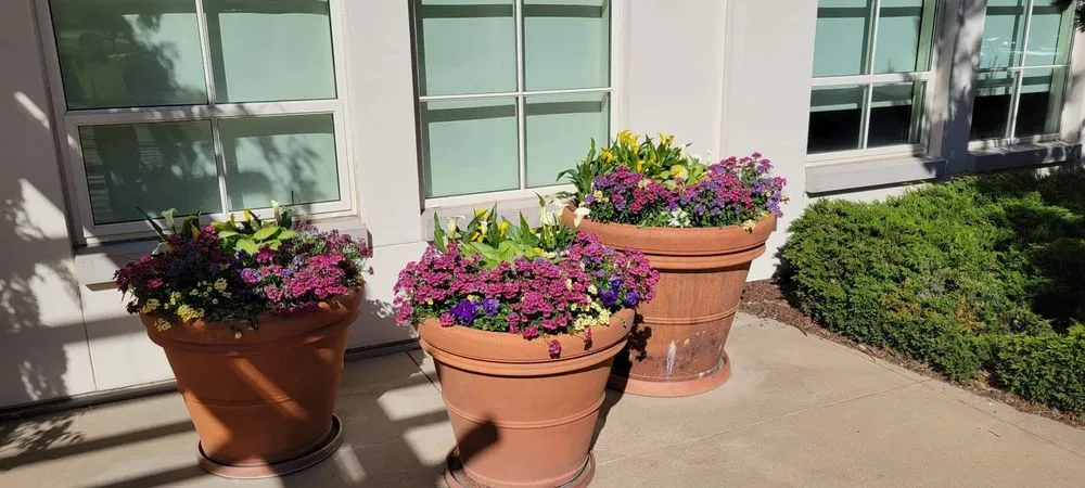 Professional landscape design with custom design across brentwood, CA - Full Spectrum Outdoor